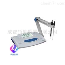 DDS-307/307A电导率仪