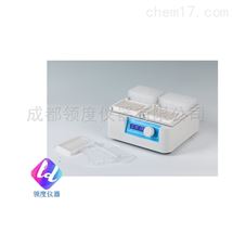 MS100微孔板振荡