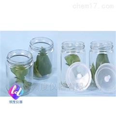 300ml植物组织培养瓶