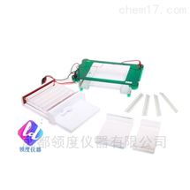 JY-SPGT型水平电泳槽