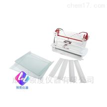 JY-SCZ7型垂直电泳槽