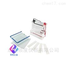 JY-SCZ6型垂直电泳槽