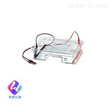 伯乐迷你电泳仪