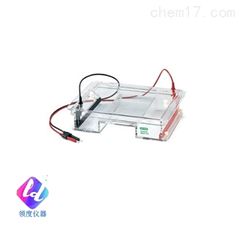 伯乐迷你电泳仪