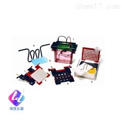 BlotModule170-3935转印电泳槽模块